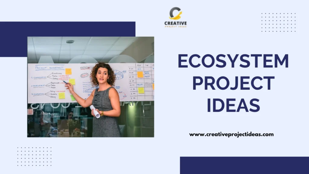 ecosystem project ideas